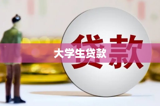 民丰大学生贷款