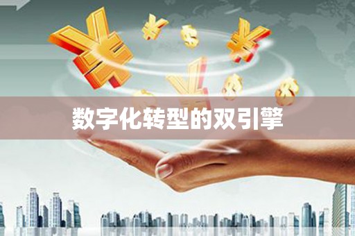 民丰数字化转型的双引擎