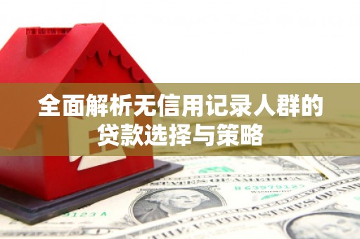 民丰全面解析无信用记录人群的贷款选择与策略