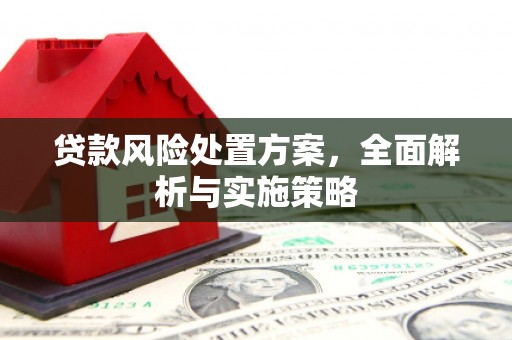 民丰贷款风险处置方案，全面解析与实施策略