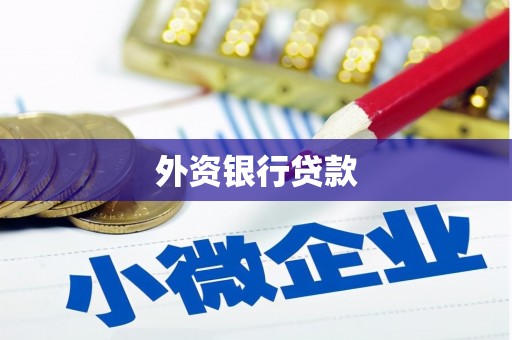 民丰外资银行贷款