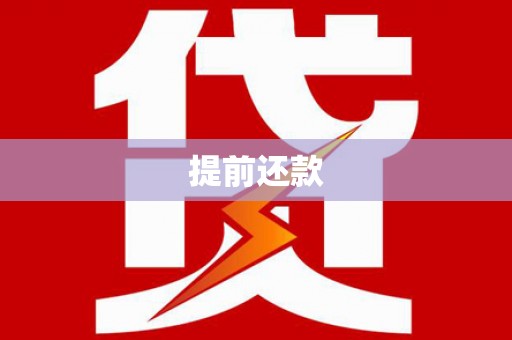 民丰提前还款