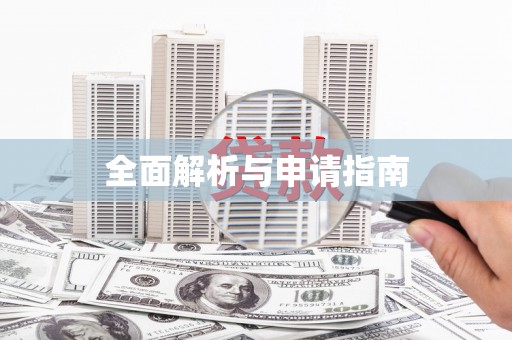 民丰全面解析与申请指南