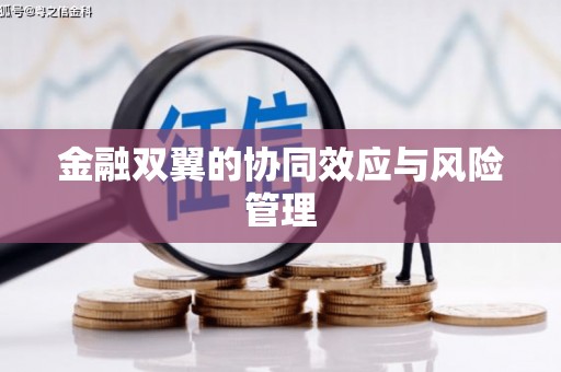 民丰金融双翼的协同效应与风险管理