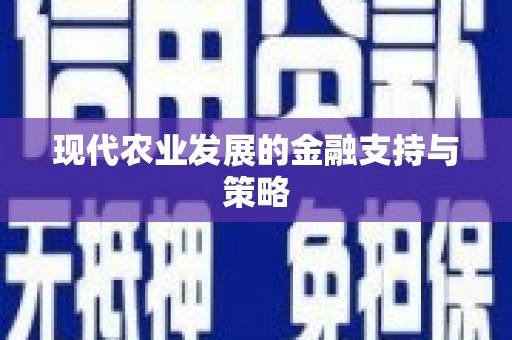 民丰现代农业发展的金融支持与策略