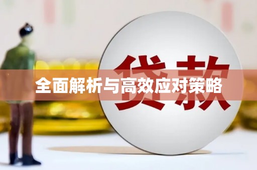 民丰全面解析与高效应对策略
