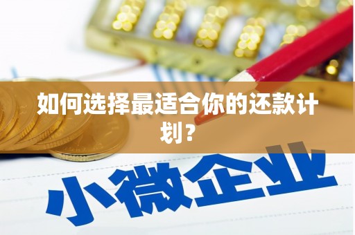 民丰如何选择最适合你的还款计划？