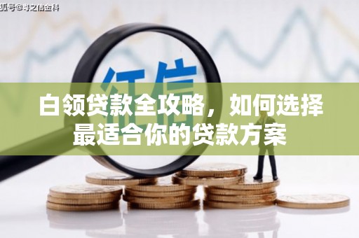 民丰白领贷款全攻略，如何选择最适合你的贷款方案