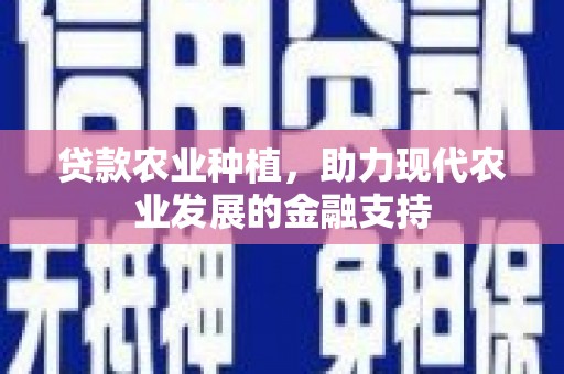 民丰贷款农业种植，助力现代农业发展的金融支持