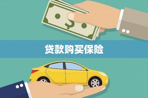 民丰贷款购买保险