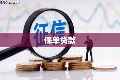 民丰保单贷款
